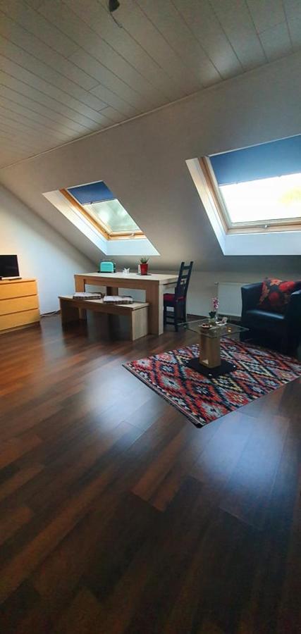 Tulpenoase Apartman Neuendettelsau Kültér fotó