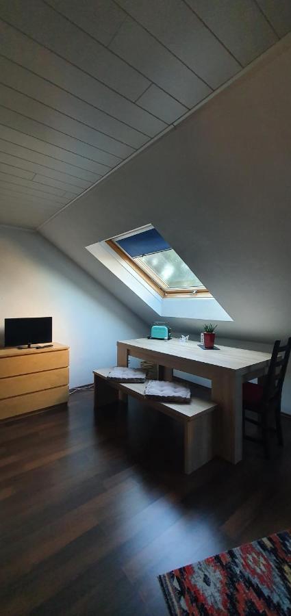 Tulpenoase Apartman Neuendettelsau Kültér fotó